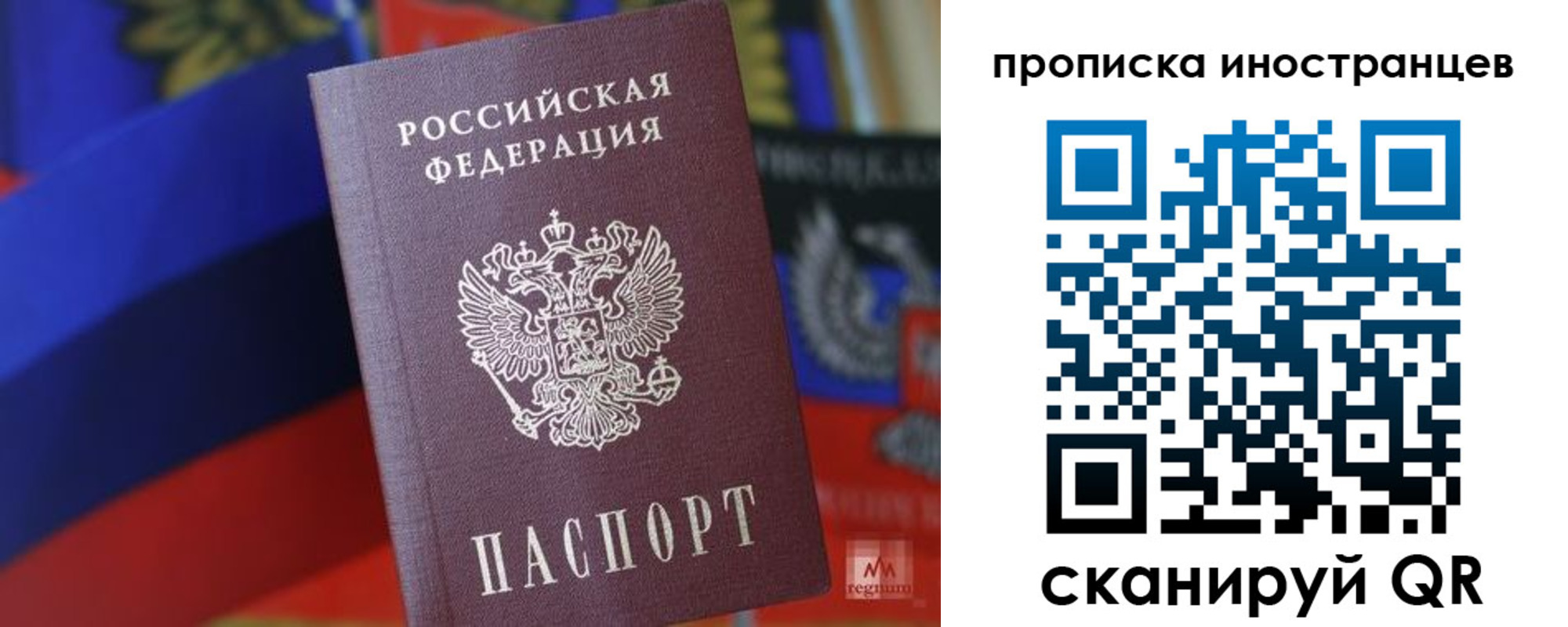 прописка законно в Звенигово
